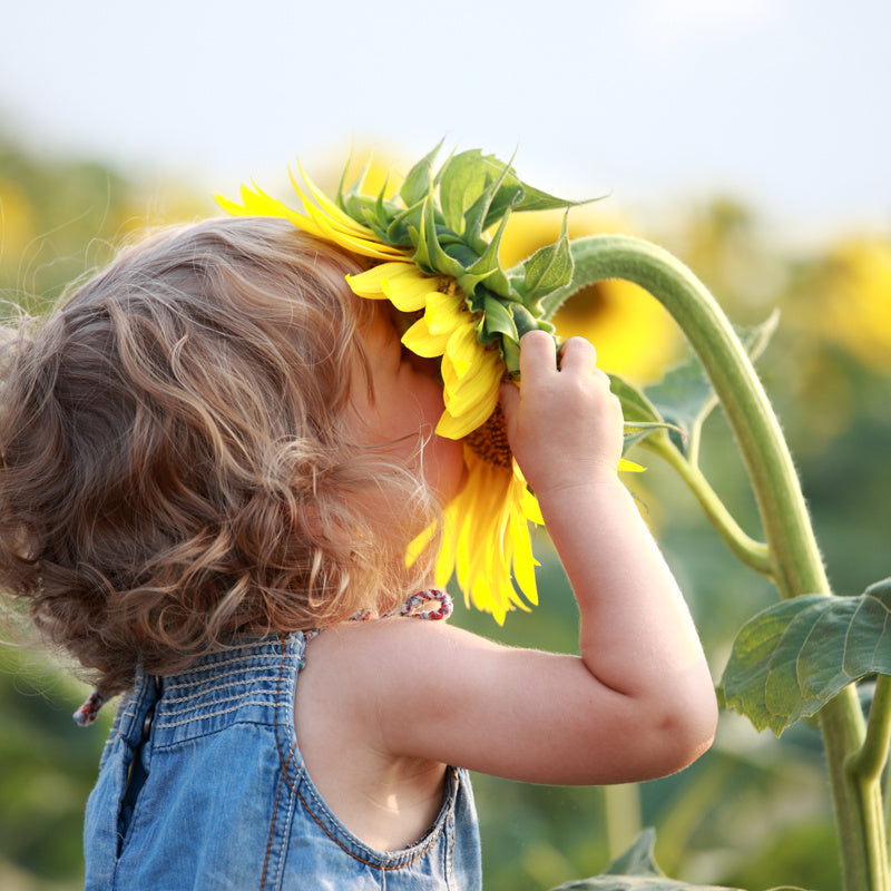 nature-journey-album-wingwave-children-us-4649464823889_0.jpg